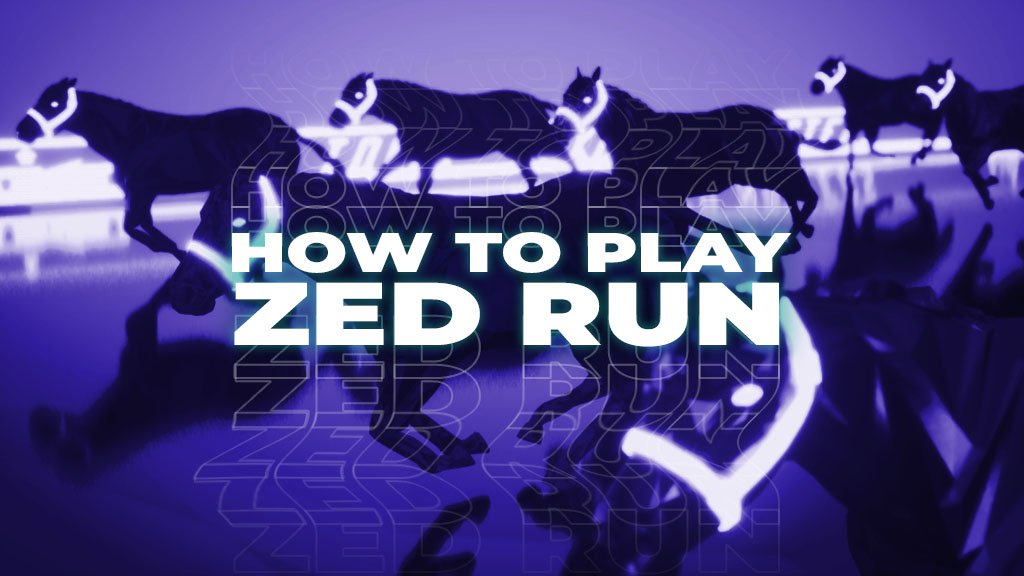 How To Play ZED Run in 8 Easy Steps