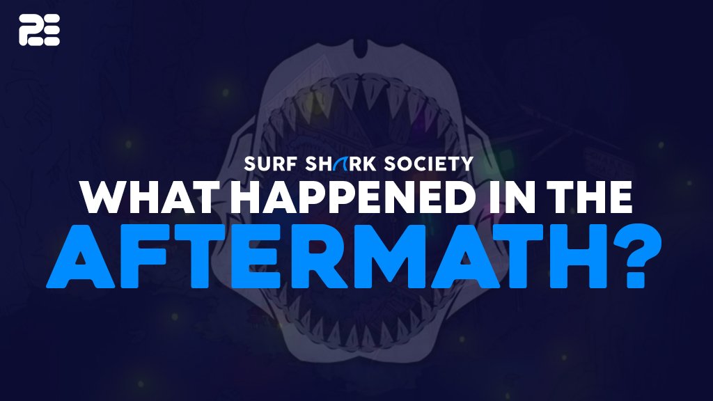 Surf Shark Society | What Happened in the Aftermath?