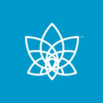 Bloomverse Icon