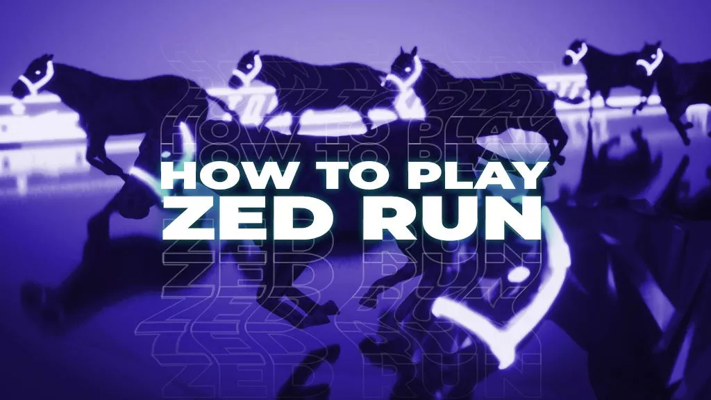 How-To-Play-ZED-Run_Opt3