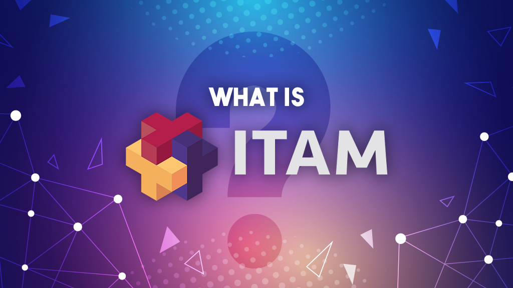 What-Is-ITAM_Opt2