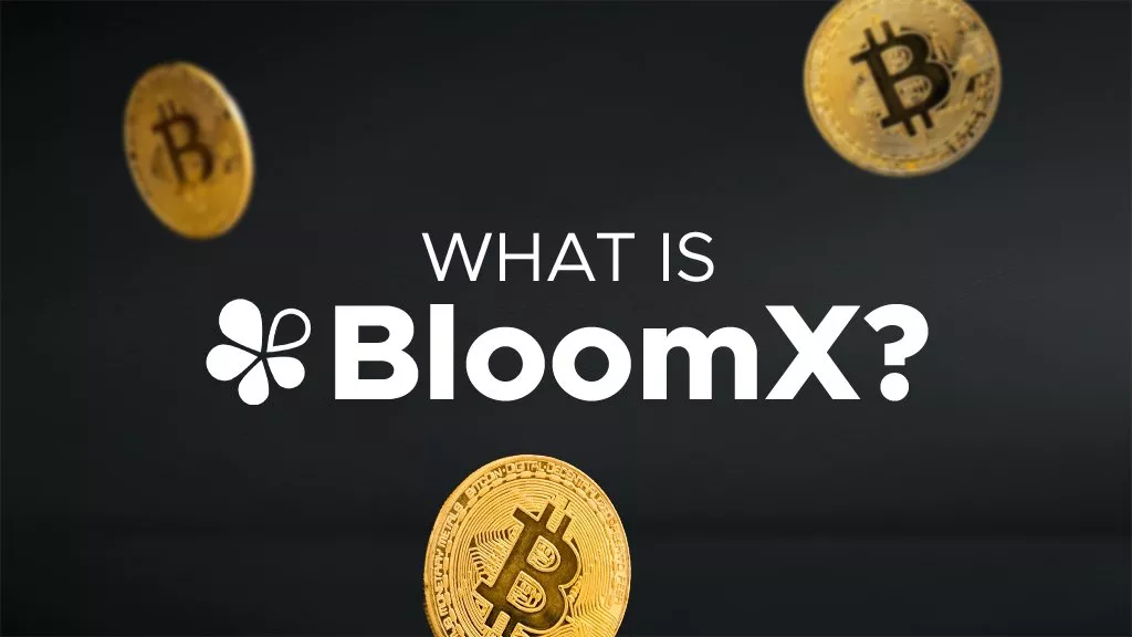 What-is-BloomX_Opt2