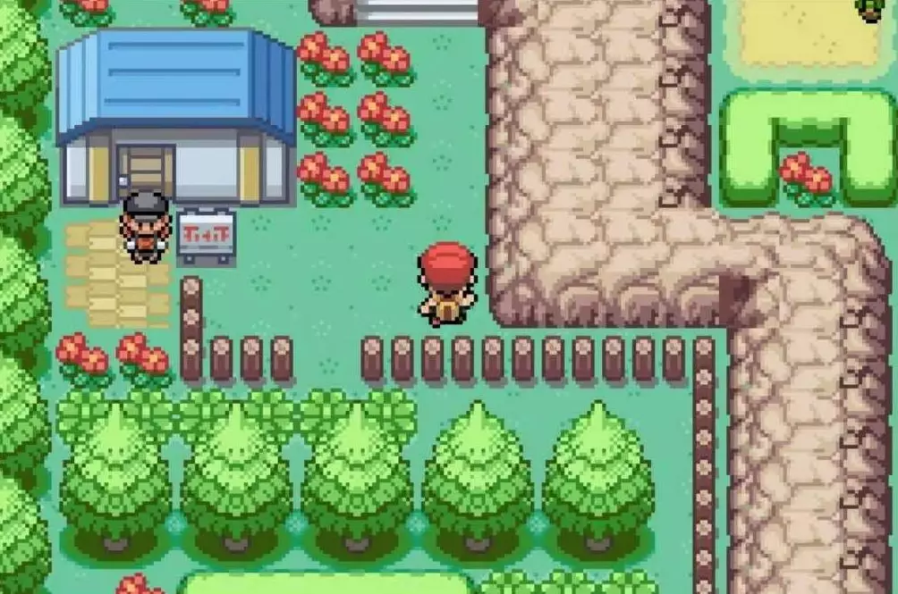 Pokemon Gameplay