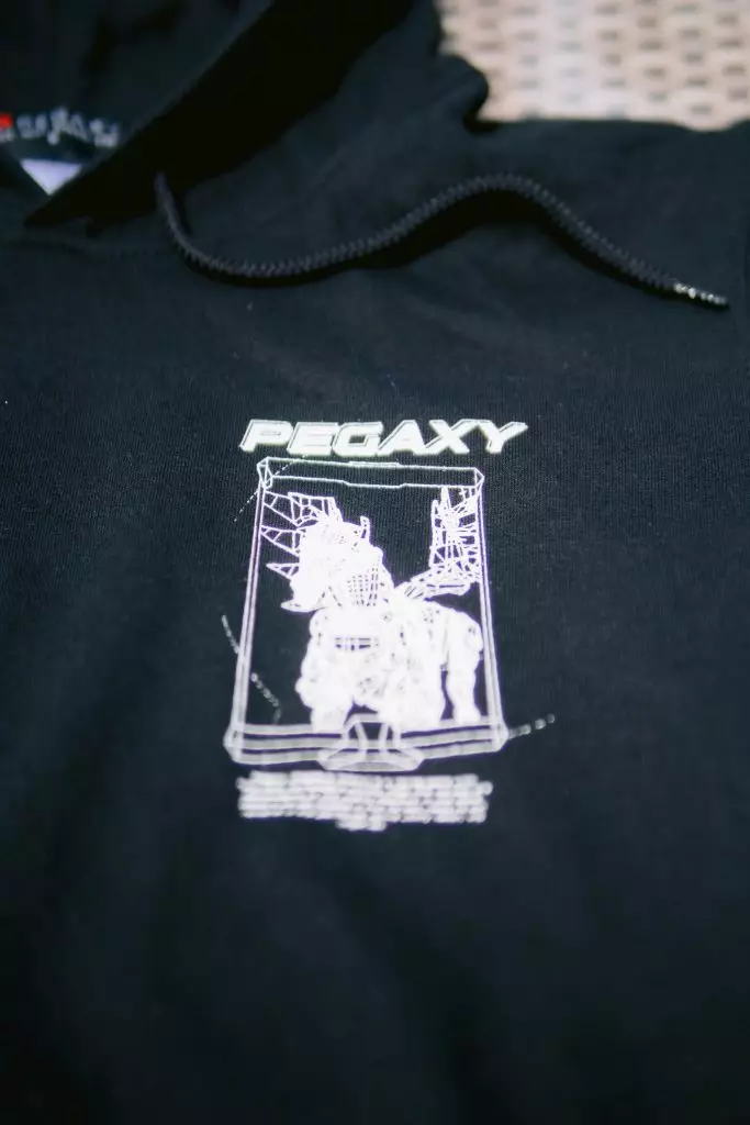 Pegaxy hoodie front print
