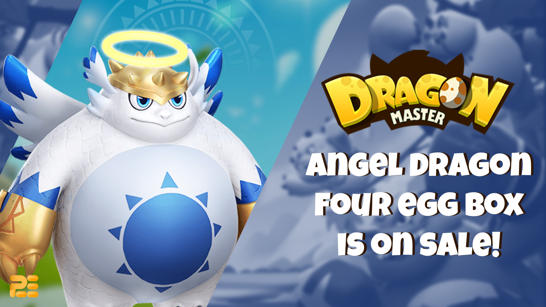 DM Angel Dragon Sale