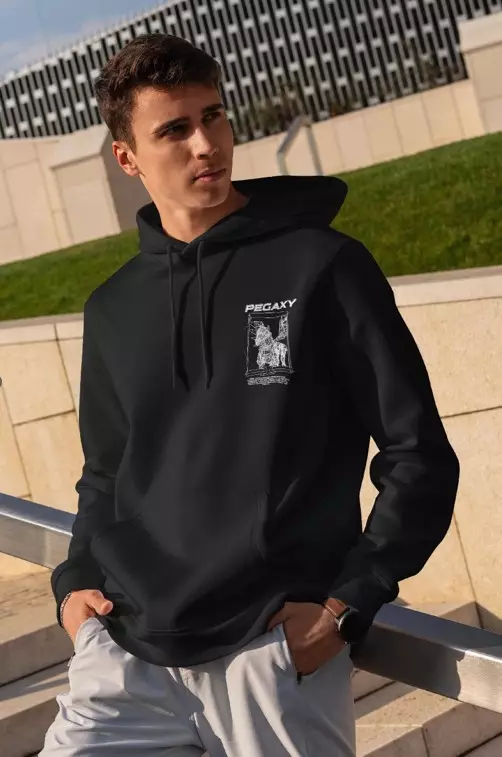 A male wearing Pegaxy hoodie