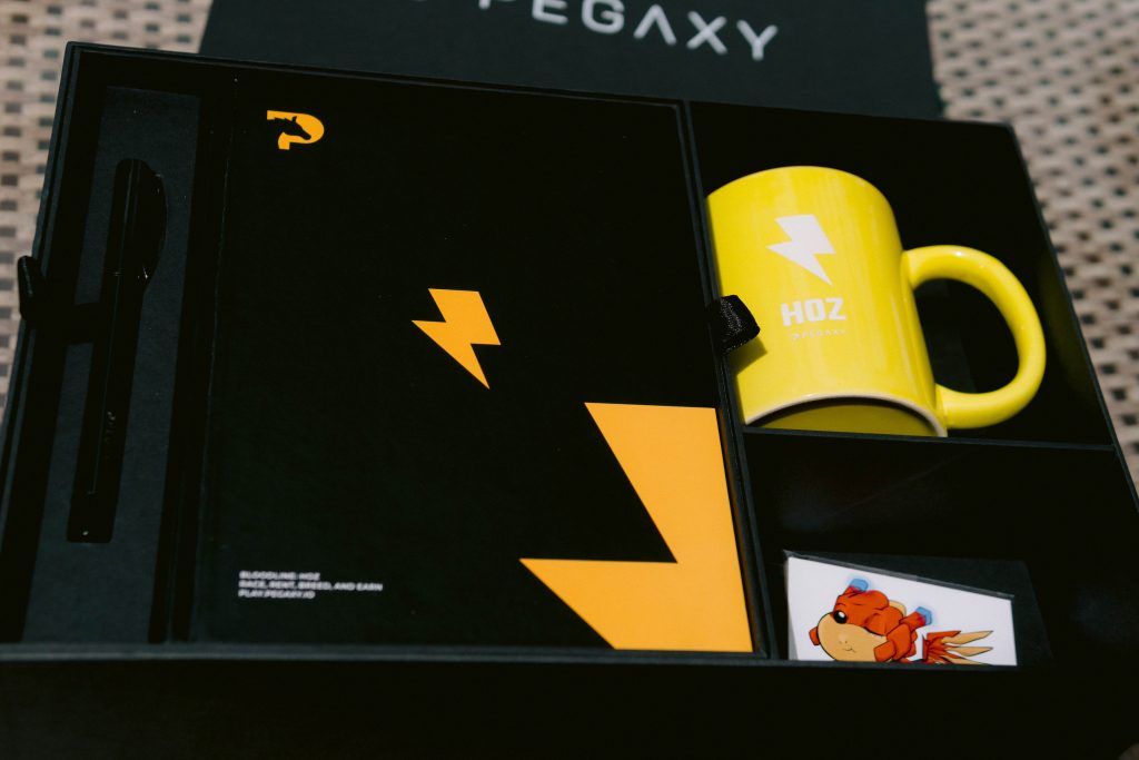 Pegaxy merch for Christmas Hangout