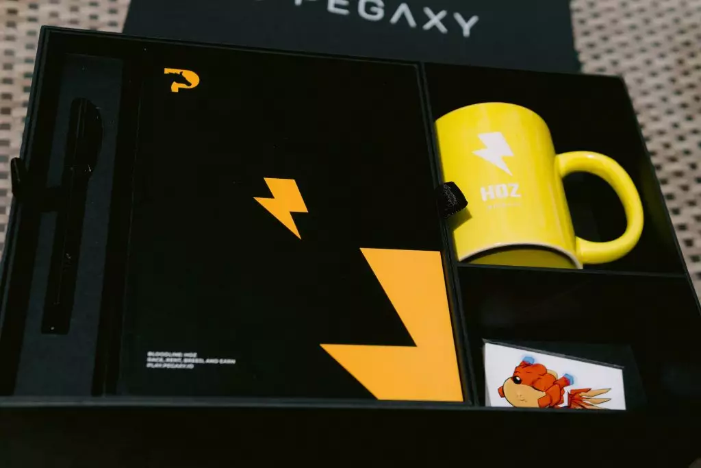 Pegaxy merch for Christmas Hangout 