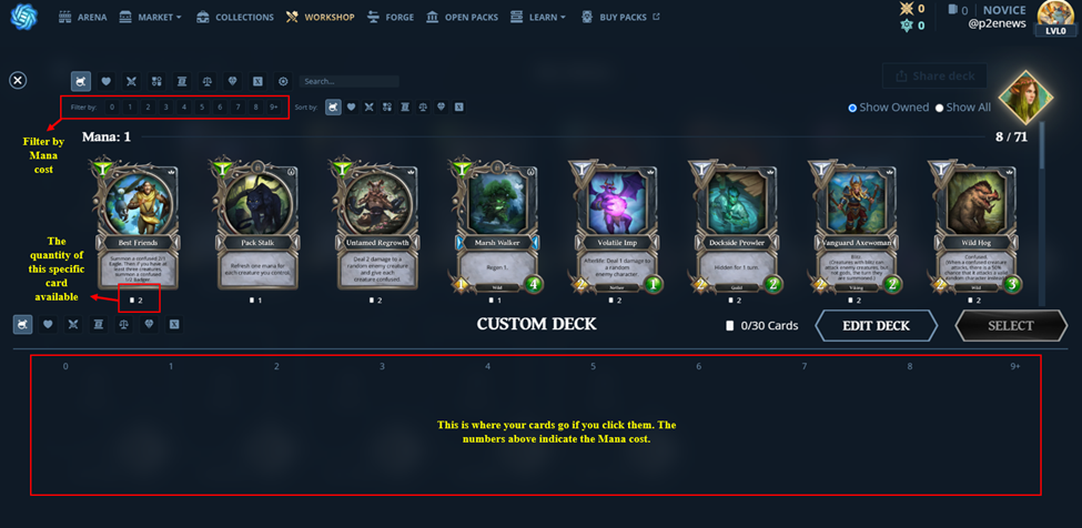 Custom Deck