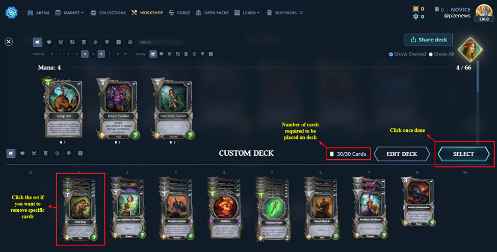 Custom Deck